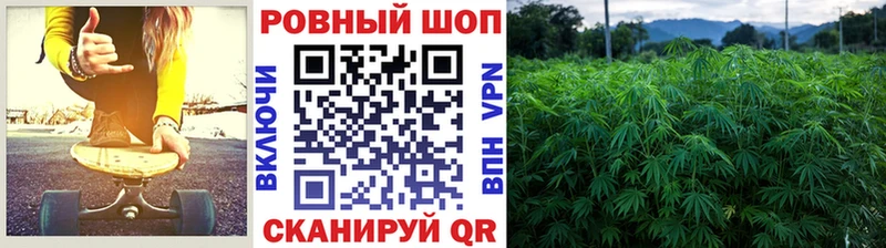 Где продают наркотики Себеж Cocaine  Бутират  АМФ  СОЛЬ  Гашиш  Меф мяу мяу  Конопля 